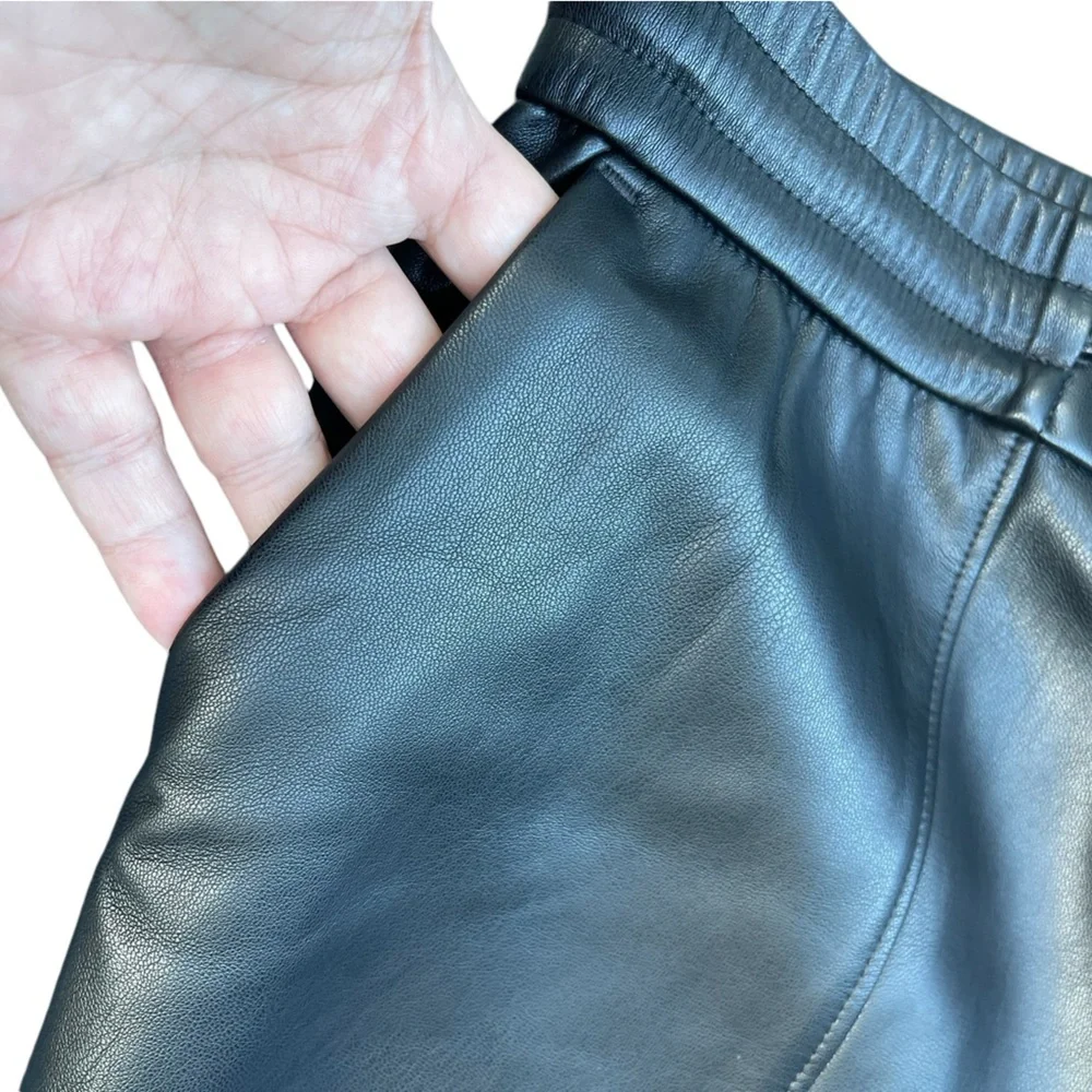 🖤🔥NWT Ann Taylor LOFT size 16P faux leather pants.  Perfect for Fall. Stylish! - Picture 8 of 8